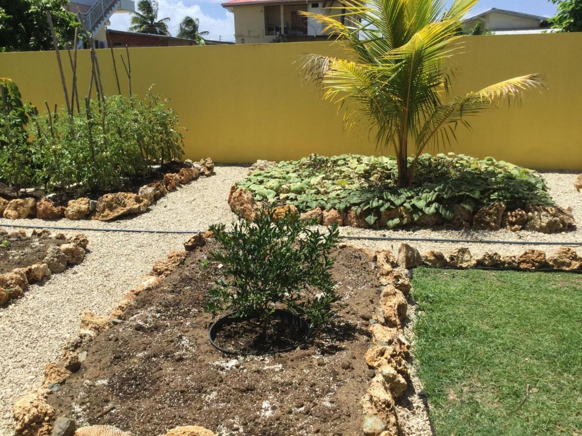 Cc Best Villas Tobago Lowlands Exterior foto